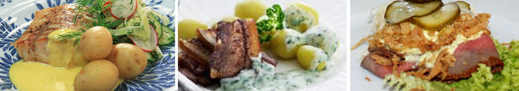Dänische Küche